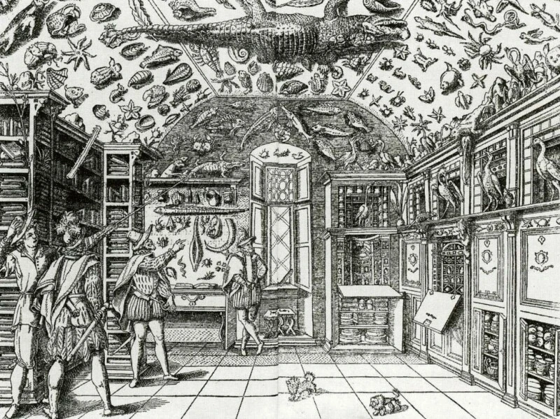 Ferrante Imperato, Room of Curiosities (Wunderkammer), 1559, Naples, Italy.