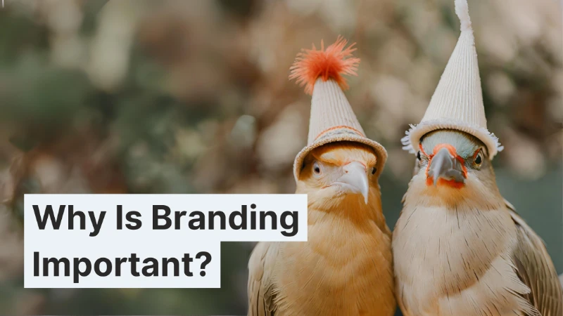 2 birds with hats and text reads: Why customers identify with brands
