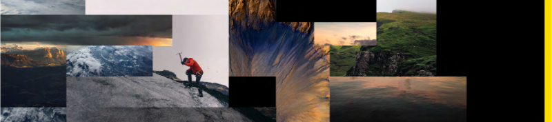 Collage of images representing National Geographic's color palette
